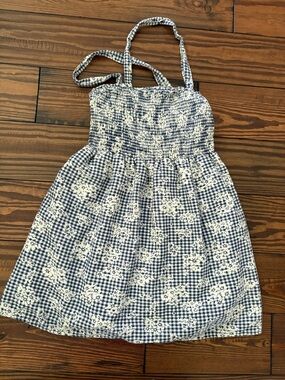 American Eagle Outfitters Blue and White Gingham Floral Sundress